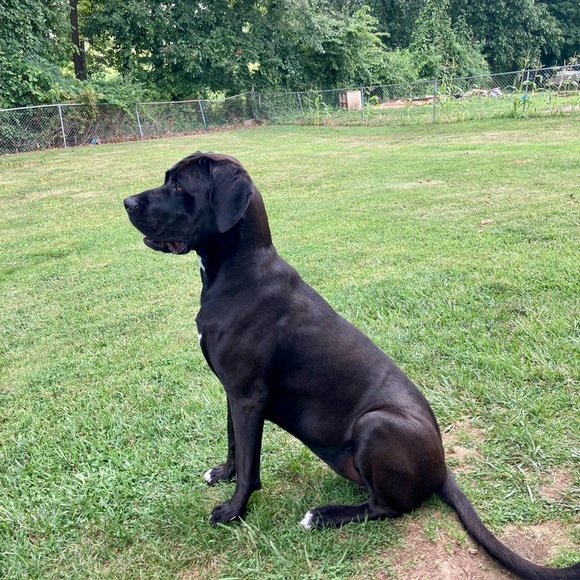 Meet your Posher, Jon - Picture 6 of 11